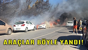 Seferihisar'daki orman yangını Ekmeksiz Plajında denize girenlerin araçlarına sıçradı