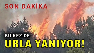 Son Dakika! Urla'da orman yangını başladı