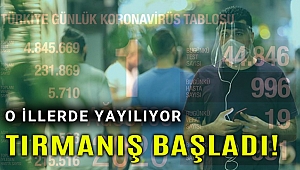 Vaka sayıları yeniden tırmanışa geçti