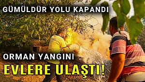 Yangın büyüdü İzmir - Gümüldür yolu ulaşıma kapandı