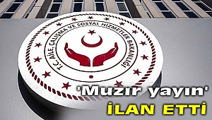 Aile, Çalışma ve Sosyal Hizmetler Bakanlığı kitabı 'Muzır yayın' ilan etti