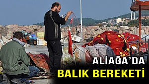 ALİAĞA DENİZLERİNDE BALIK BOLLAŞTI