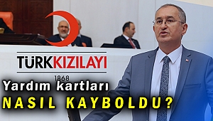 Atila Sertel: Kızılay İzmir Şubesi'nde neler oluyor?