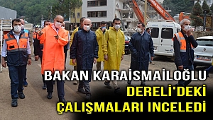 Bakan Karaismailoğlu, Dereli'deki çalışmaları inceledi