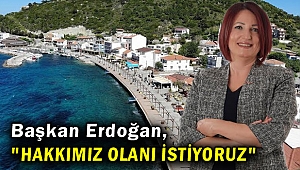 Başkan Erdoğan, 
