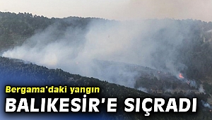 Bergama'da çıkan orman yangını Balıkesir'e sıçradı