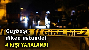 Bir mahalle diken üstünde: 4 kişi yaralandı