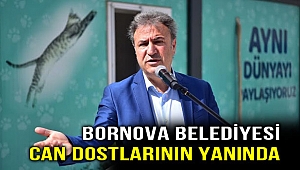 Bornova Belediyesi pandemide de can dostlarına kucak açıyor 