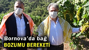 Bornova’da bağ bozumu bereketi