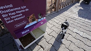 Can Dostların Artık Mamamatiği Var