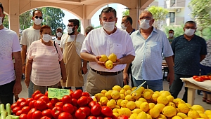 Çeşme Belediyesi'nden tarım hamlesi;