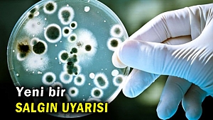 Çin'de yeni bir salgın uyarısı yapıldı!