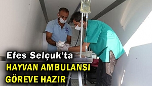 Efes Selçuk'ta hayvan ambulansı göreve başladı