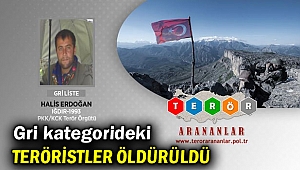 Gri kategorideki teröristler öldürüldü