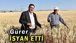 Gürer: “Yerli çiftçi iktidarın gözünde yok”
