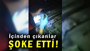 İçinden çıkanlar şoke etti!