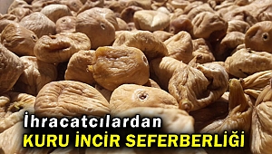 İhracatçılar, kuru incirin kalitesini arttırmak için seferber oldu