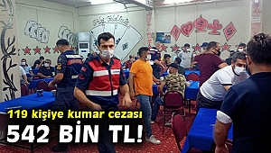 İzmir'de kumar oynayan 119 kişiye, 542 bin 878 lira ceza