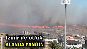 İzmir'de otluk alanda yangın