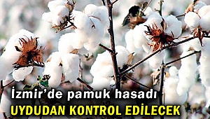 İzmir’de pamuk hasadında yeni dönem