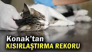 Konak’ta Hayvanseverler ve belediye omuz omuza