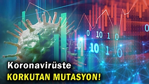 Koronavirüste korkutan mutasyon!
