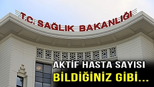 Kovid-19'da iyileşen hasta sayısı 245 bini geçti