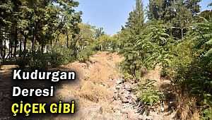 Kudurgan Deresi çiçek gibi oldu