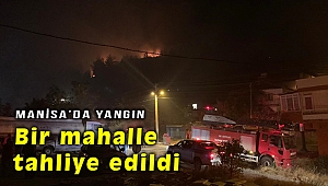 Manisa'da orman yangını