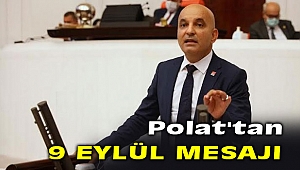 Polat, 'Ulu Çınar; Cumhuriyet Halk Partisi'