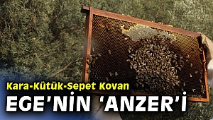 Tahtalı havzasından bal akacak