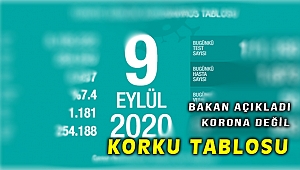 Türkiye’de son 24 saatte 1673 kişiye Kovid-19 tanısı konuldu