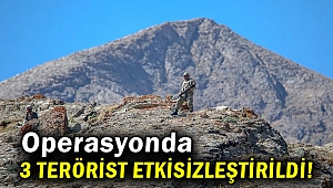 Van'da 3 terörist etkisiz hale getirildi