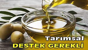Zeytin yağı için tarımsal destek gerekli