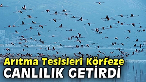 Arıtma suyunun kalitesi Körfez’deki yaşamı da zenginleştiriyor