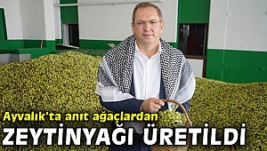 Ayvalık’ta anıt ağaçlardan zeytinyağı üretildi