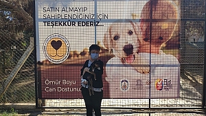 Can dostlarını sahiplenenler çoğalıyor