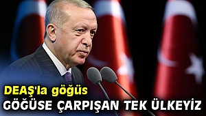 Cumhurbaşkanı Erdoğan, 