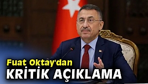 Cumhurbaşkanı Yardımcısı Oktay'dan kritik açıklama
