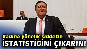 Gürer'den kadına yönelik şiddette istatistik çıkışı