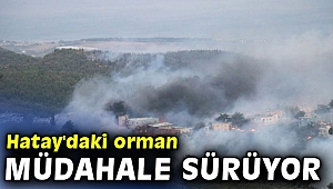 Hatay'daki orman yangınına karadan müdahale sürüyor
