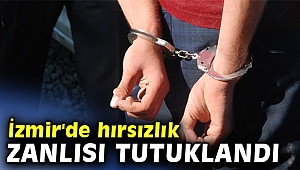 İzmir'de hırsızlık şüphelisi tutuklandı