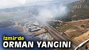 İzmir'de orman yangını çıktı