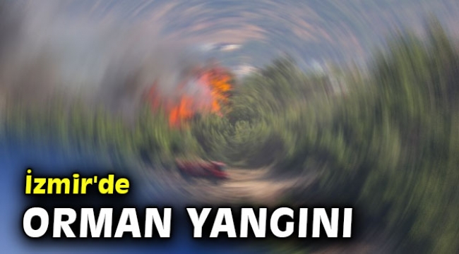 İzmir'de orman yangını