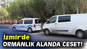 İzmir'de ormanlık alanda ceset!