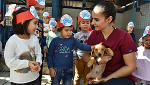 İzmir'in can dostları emin ellerde