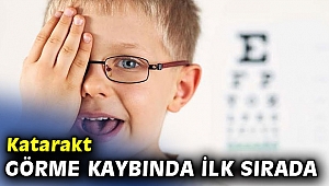 Katarakt tedavi edilebir görme kaybı nedenler arasında ilk sırada