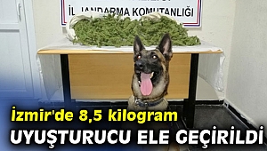 Ödemiş ve Tire'deki uyuşturucu operasyonlarında 3 kişi yakalandı