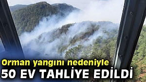 Orman yangını nedeniyle 50 ev tahliye edildi