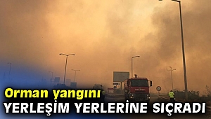 Orman yangını yerleşim yerlerine sıçradı